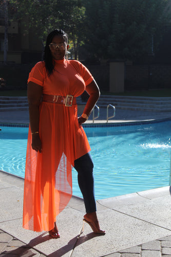 Sale Item!!!! Simply Orange Mesh Maxi Top.